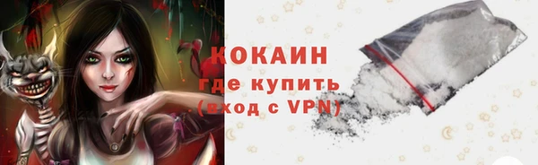 мдпв Дедовск