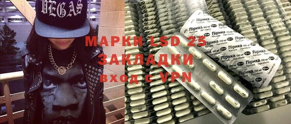 мдпв Дедовск
