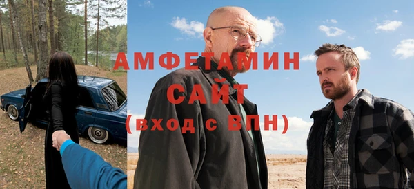 мдпв Дедовск