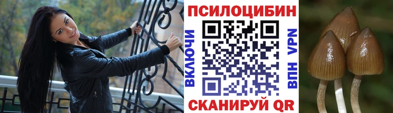 Галлюциногенные грибы Psilocybine cubensis  Черногорск 