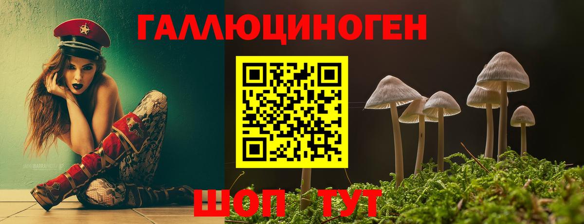 Черногорск  Галлюциногенные грибы Cubensis  Галлюциногенные грибы Psilocybe  Вход с VPN 