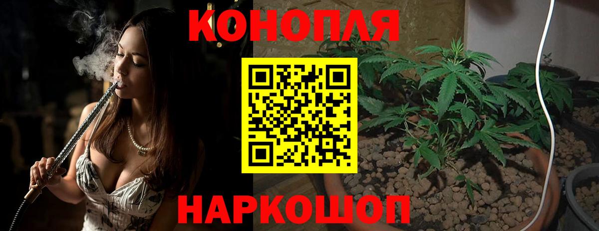 Бошки Шишки планчик  Черногорск  Бошки марихуана Bruce Banner  МАРИХУАНА White Widow  Шишки марихуана план 