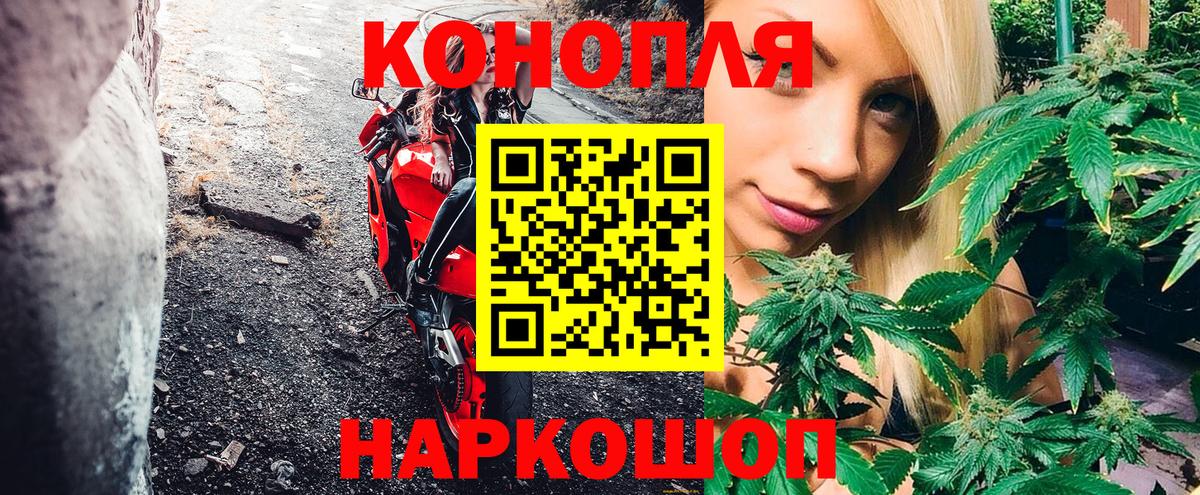 Канабис OG Kush Черногорск